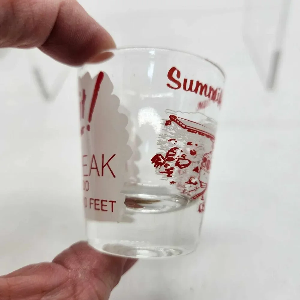 Set of 2 PIkes Peak CO Shot Glasses Colorado Summit House Air Force Academy
